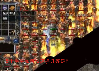 道士宝宝如何快速提升等级? 道士宝宝如何快速提升等级?