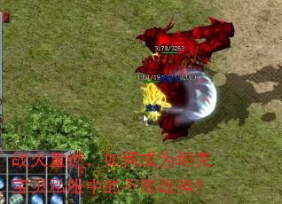 ս����ȼ����γ�Ϊ̹�˱���˽���еĲ���ս��