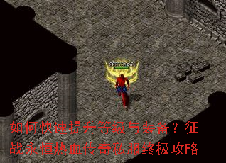 ��ο��������ȼ���װ������ս������Ѫ����˽���ռ�����