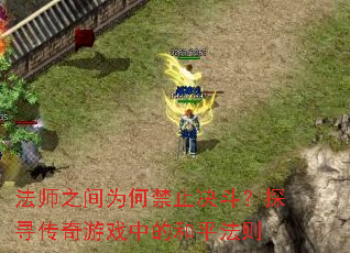 ��ʦ֮��Ϊ�ν�ֹ������̽Ѱ������Ϸ�еĺ�ƽ����