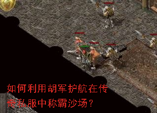 ������ú��������ڴ���˽���гư�ɳ����