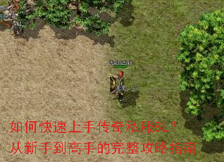 如何快速上手传奇私服8L?从新手到高手的完整攻略指南 如何快速上手传奇私服8L?从新手到高手的完整攻略指南