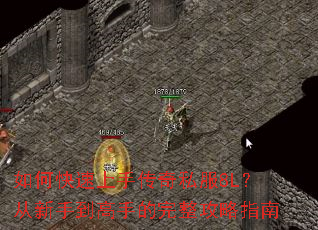 ��ο������ִ���˽��8L�������ֵ����ֵ���������ָ��