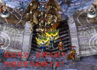 征战玛法:如何从新手快速成长为巅峰王者? 征战玛法:如何从新手快速成长为巅峰王者?