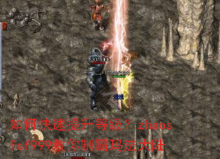 ��ο��������ȼ���zhaosfsf999�����ư��귨��½