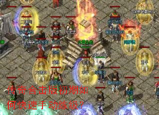 ����ϻ��������ο����ֶ�������