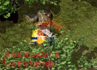 ���﹥����ô�棿����ҽ���������ʤ