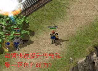 如何快速提升传奇私服一区角色战力? 如何快速提升传奇私服一区角色战力?