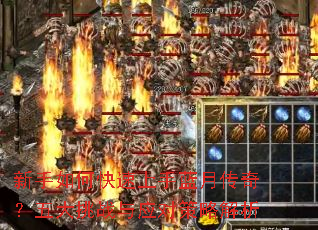 ������ο����������´��棿�����ս��Ӧ�Բ��Խ���