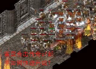 �����ϻ�����sf������ο���������