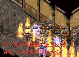 ������ο��ٻ�ɱׯ԰���װ���뾭���ȡ�ؼ��󹫿�