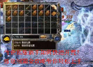 传奇私服新手如何快速开荒?练级制霸全攻略带你轻松上手 传奇私服新手如何快速开荒?练级制霸全攻略带你轻松上手