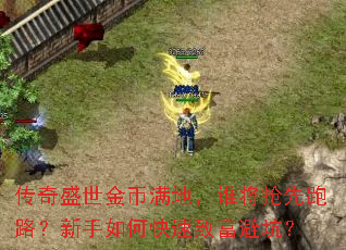 ����ʢ��������أ�˭��������·��������ο����¸��ܿӣ�