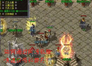 如何通过网通私服快速获得神兽丹? 如何通过网通私服快速获得神兽丹?