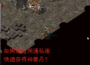如何通过网通私服快速获得神兽丹? 如何通过网通私服快速获得神兽丹?