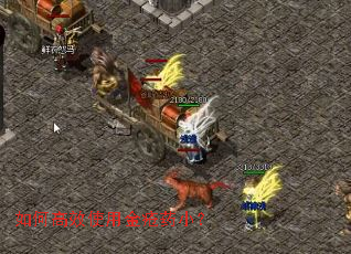 ��θ�Чʹ�ý�ҩС��