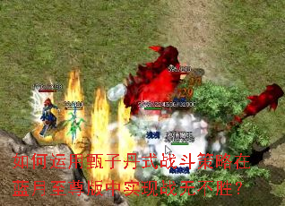 ����������ӵ�ʽս�������������������ʵ��ս�޲�ʤ��