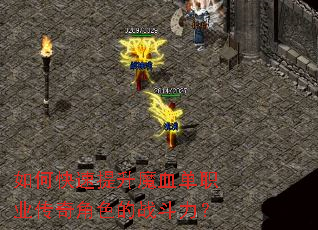 ��ο�������ħѪ��ְҵ�����ɫ��ս������