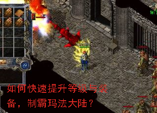 ��ο��������ȼ���װ�����ư��귨��½��