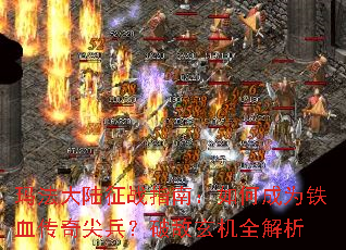 �귨��½��սָ�ϣ���γ�Ϊ��Ѫ���������Ƶ�����ȫ����