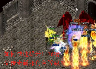 ��ο�������1.76��Ʒ�����·���ɫ�ȼ���