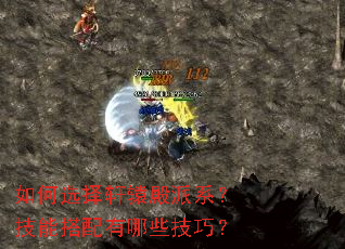 ���ѡ����ԯ����ϵ�����ܴ�������Щ���ɣ�