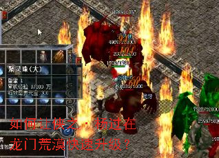 �������֮����������Ż�Į����������