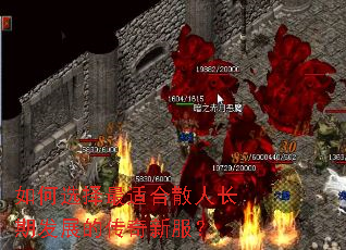 ���ѡ�����ʺ�ɢ�˳��ڷ�չ�Ĵ����·���