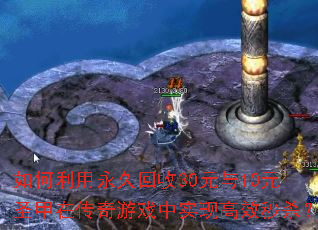 ����������û���30Ԫ��10Ԫʥ���ڴ�����Ϸ��ʵ�ָ�Ч��ɱ��