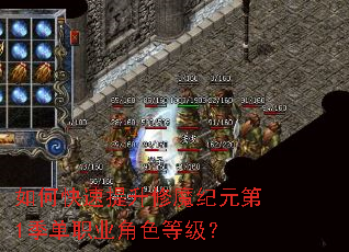 ��ο���������ħ��Ԫ��1����ְҵ��ɫ�ȼ���