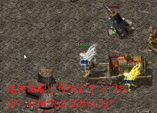 ��ʧ��ְҵ������������ָ�ϣ���ο�������ս����