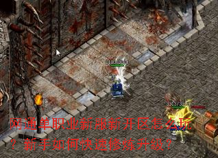 网通单职业新服新开区怎么玩?新手如何快速修炼升级? 网通单职业新服新开区怎么玩?新手如何快速修炼升级?