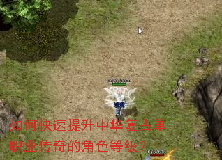 如何快速提升中华复古单职业传奇的角色等级? 如何快速提升中华复古单职业传奇的角色等级?