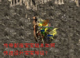 传奇新服宝宝版本如何快速提升宝宝等级? 传奇新服宝宝版本如何快速提升宝宝等级?