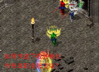 ��ο������ز����洫�浥ְҵ����棿