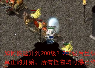 如何快速升到200级?200级后丝绸之路才是真正的开始,所有怪物均可爆出终极特殊装备。 如何快速升到200级?200级后丝绸之路才是真正的开始,所有怪物均可爆出终极特殊装备。