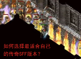 ���ѡ�����ʺ��Լ��Ĵ���SFF�汾��