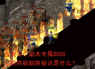 ����ÿ������ר��BOSS����ռ���ʤ�ؾ���ʲô��
