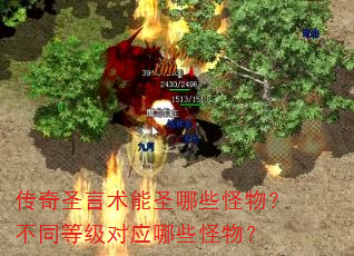 传奇圣言术能圣哪些怪物?不同等级对应哪些怪物? 传奇圣言术能圣哪些怪物?不同等级对应哪些怪物?