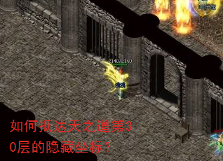 如何抵达天之道第30层的隐藏坐标? 如何抵达天之道第30层的隐藏坐标?