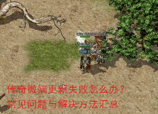 ����΢�˸���ʧ����ô�죿��������������������