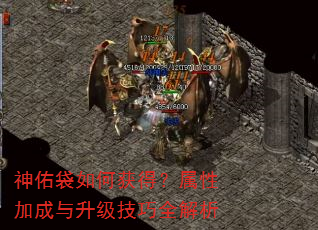 神佑袋如何获得?属性加成与升级技巧全解析 神佑袋如何获得?属性加成与升级技巧全解析