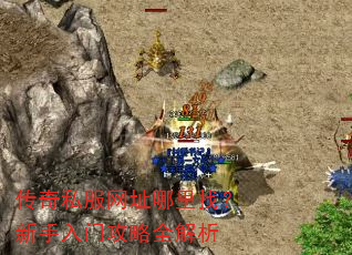 传奇私服网址哪里找?新手入门攻略全解析 传奇私服网址哪里找?新手入门攻略全解析