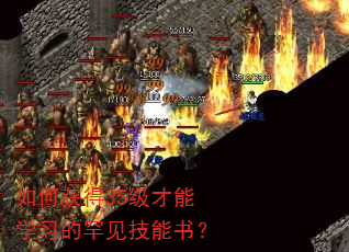 如何获得35级才能学习的罕见技能书? 如何获得35级才能学习的罕见技能书?