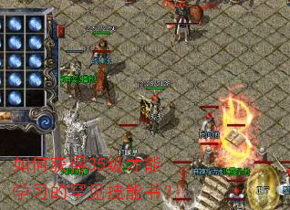 如何获得35级才能学习的罕见技能书? 如何获得35级才能学习的罕见技能书?