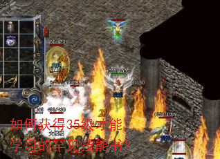 如何获得35级才能学习的罕见技能书? 如何获得35级才能学习的罕见技能书?