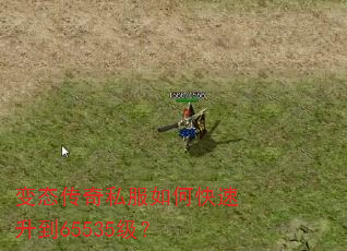 变态传奇私服如何快速升到65535级? 变态传奇私服如何快速升到65535级?