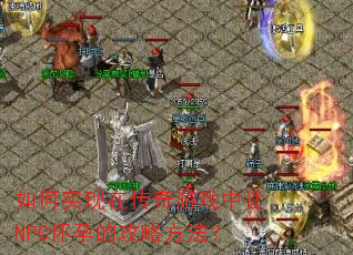 ���ʵ���ڴ�����Ϸ����NPC���еĹ��Է�����