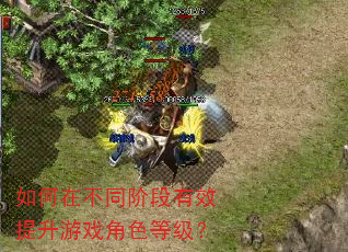 如何在不同阶段有效提升游戏角色等级? 如何在不同阶段有效提升游戏角色等级?
