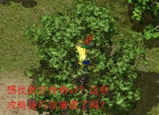 想找新开传奇sf?这些攻略技巧你掌握了吗? 想找新开传奇sf?这些攻略技巧你掌握了吗?